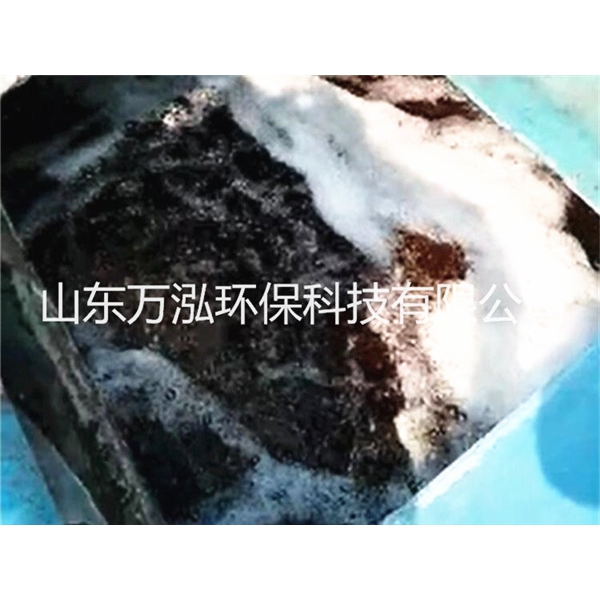 鐵碳填料處理污水處理廠(chǎng)廢水